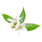 ingrédient fleur d'oranger pour le savon solide fleur d'oranger par Maitre Savonitto pour La Râpe à Savon