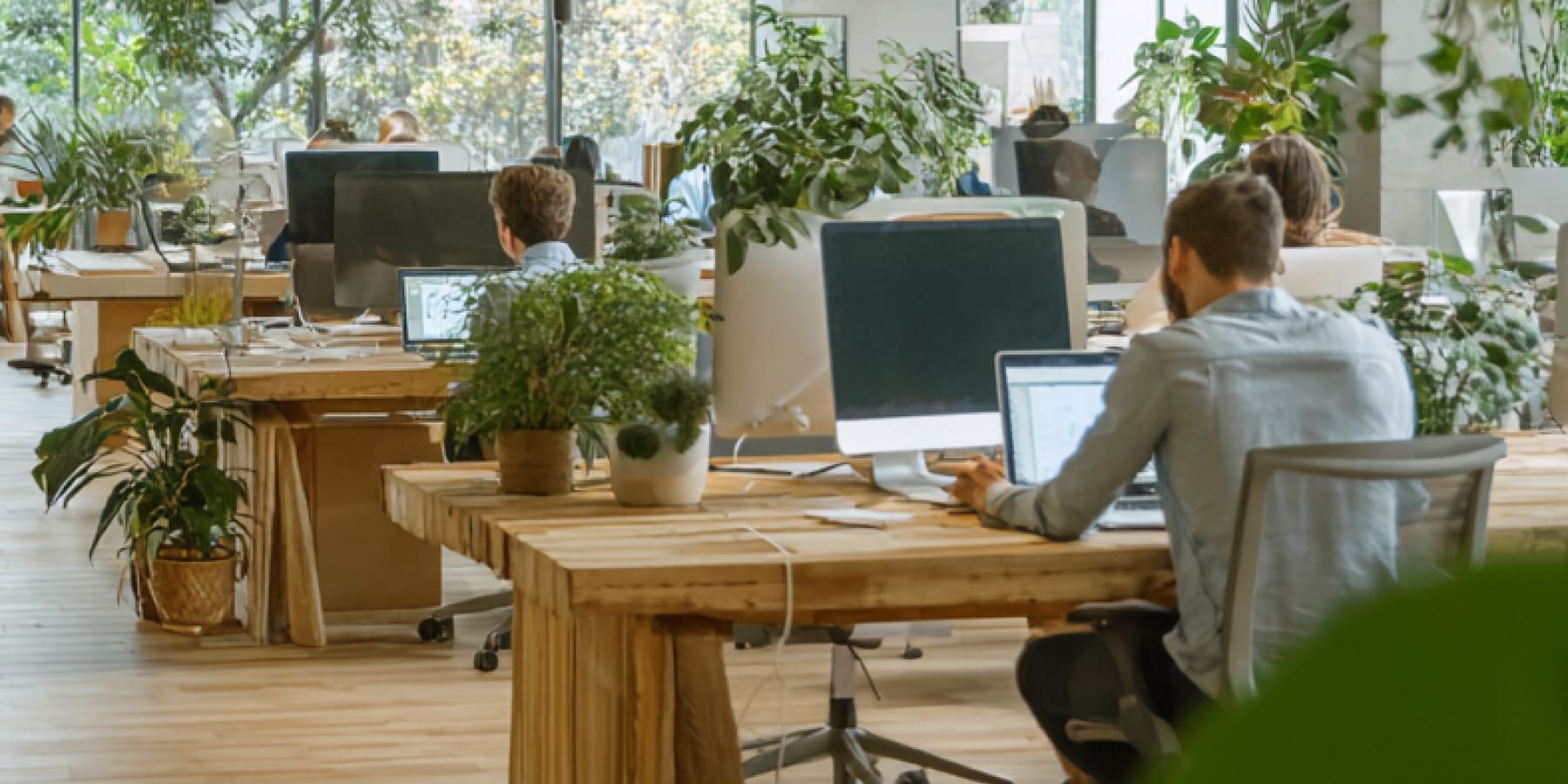 Comment évaluer l'empreinte écologique de votre entreprise ? - La Râpe à Savon 